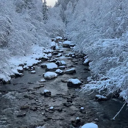 Appartamento & Mountain View