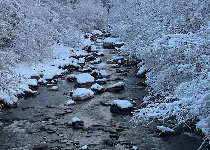 Apartment & Mountain View