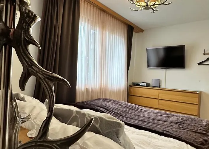 Apartment & Mountain View